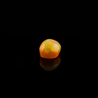Ethiopian Opal - 1.41ct AAA Incredibly intense Huge Galaxy Multi Coloured Flash