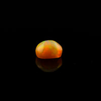 Ethiopian Opal - 1.41ct AAA Incredibly intense Huge Galaxy Multi Coloured Flash