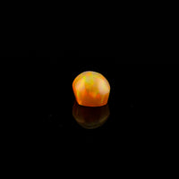 Ethiopian Opal - 1.41ct AAA Incredibly intense Huge Galaxy Multi Coloured Flash