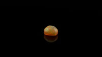 Ethiopian Opal - 1.41ct AAA Incredibly intense Huge Galaxy Multi Coloured Flash